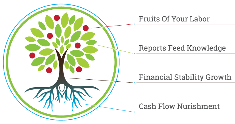 Clara Vista Bookkeeping and Business Solutions